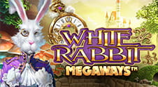 White Rabbit Online Slot UA